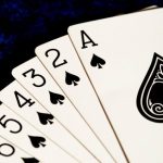 Online Slots The Exciting World of Pet Fusion